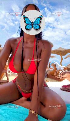 Mercado central Tragona insaciable,nueva en tu ciudad