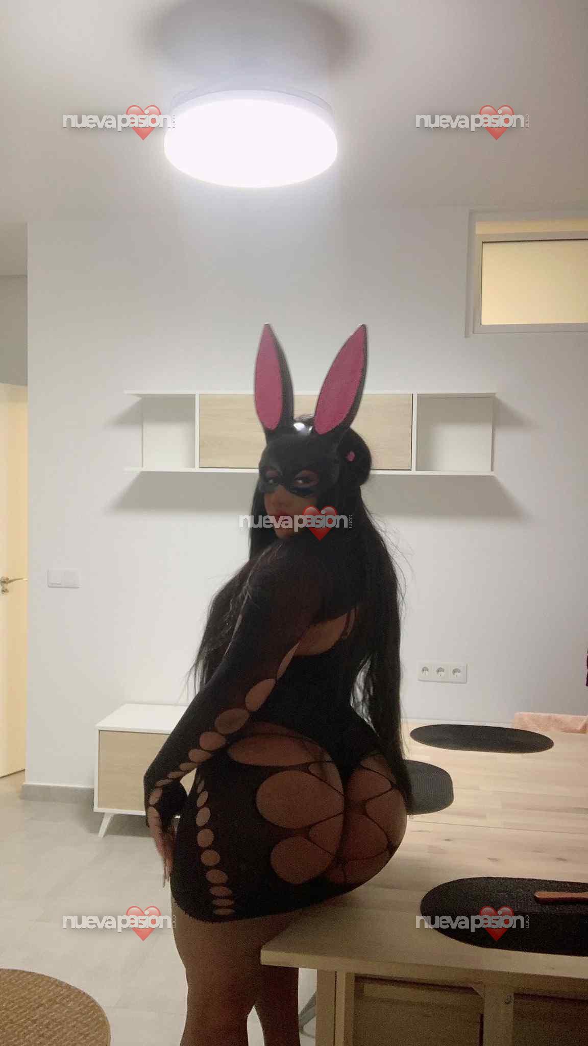 Belleza latina tu Chica Trans Favorita Nicole Love