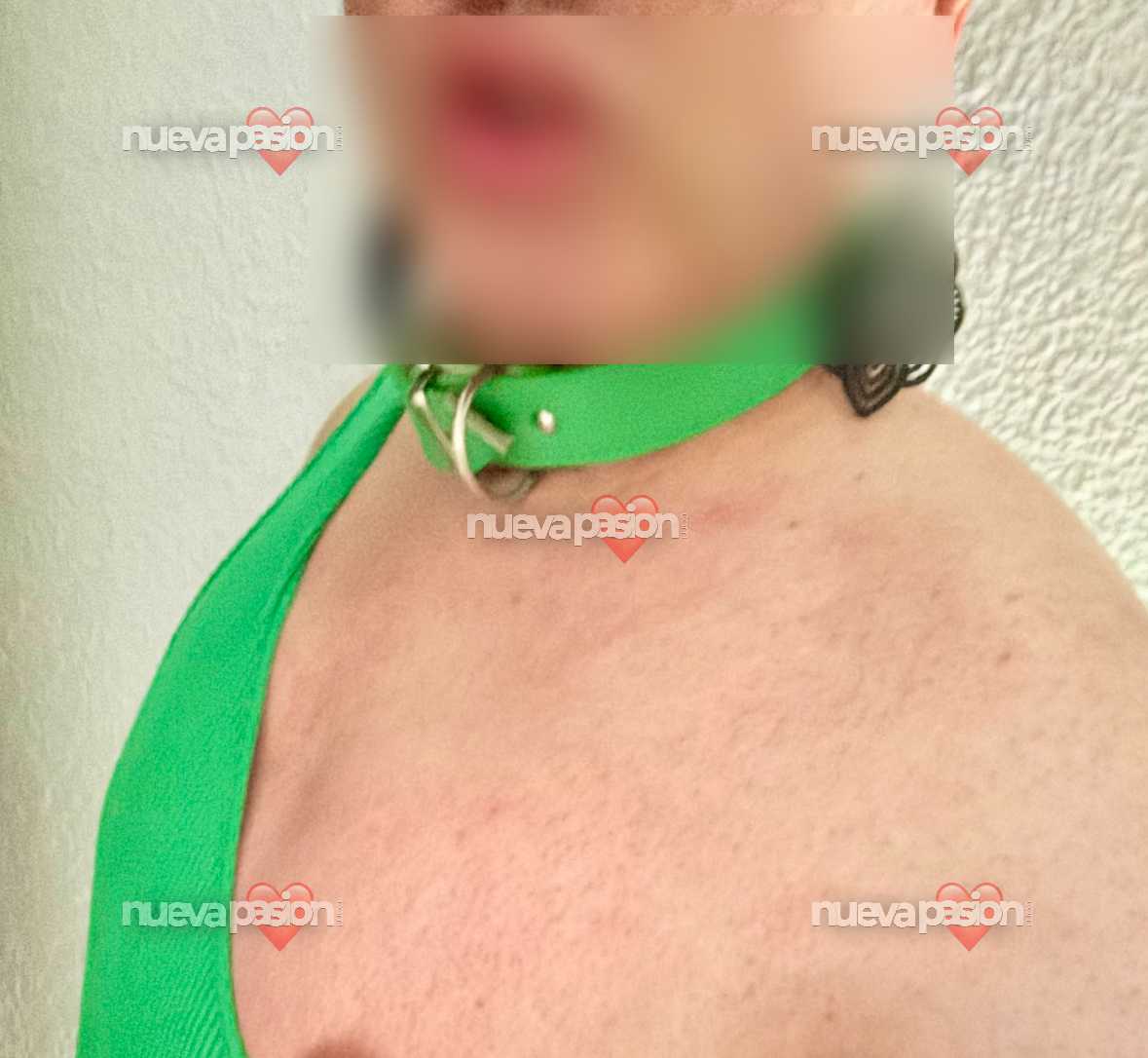 SOLO MAGREBÍES