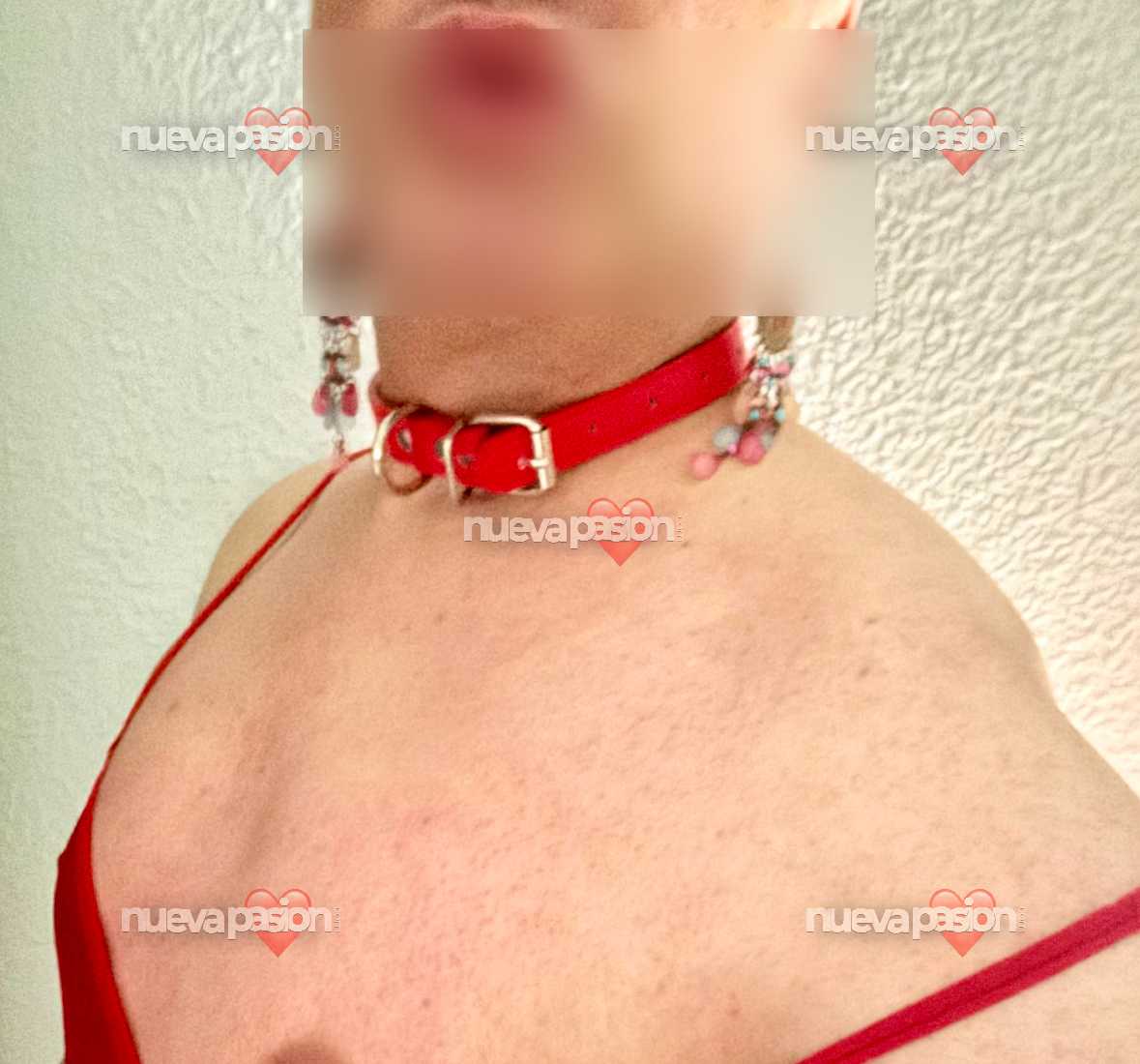 SOLO MAGREBÍES