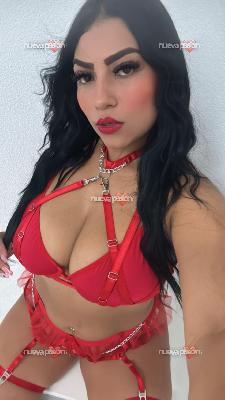 fotografias de escort para hombre en alicante