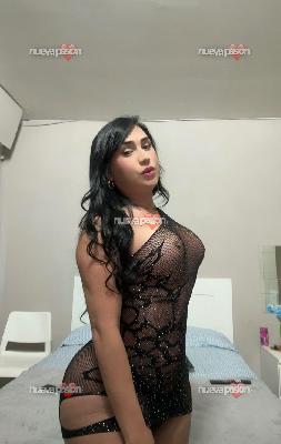 Oriana Trans Venezolana Fotos Reales en 7 PALMAS