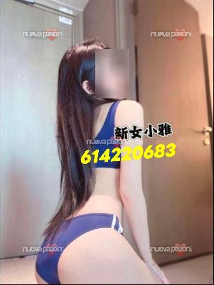 Autentica oriental. en tu ciudad