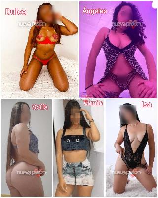 fotografias de nuestras putas y escorts