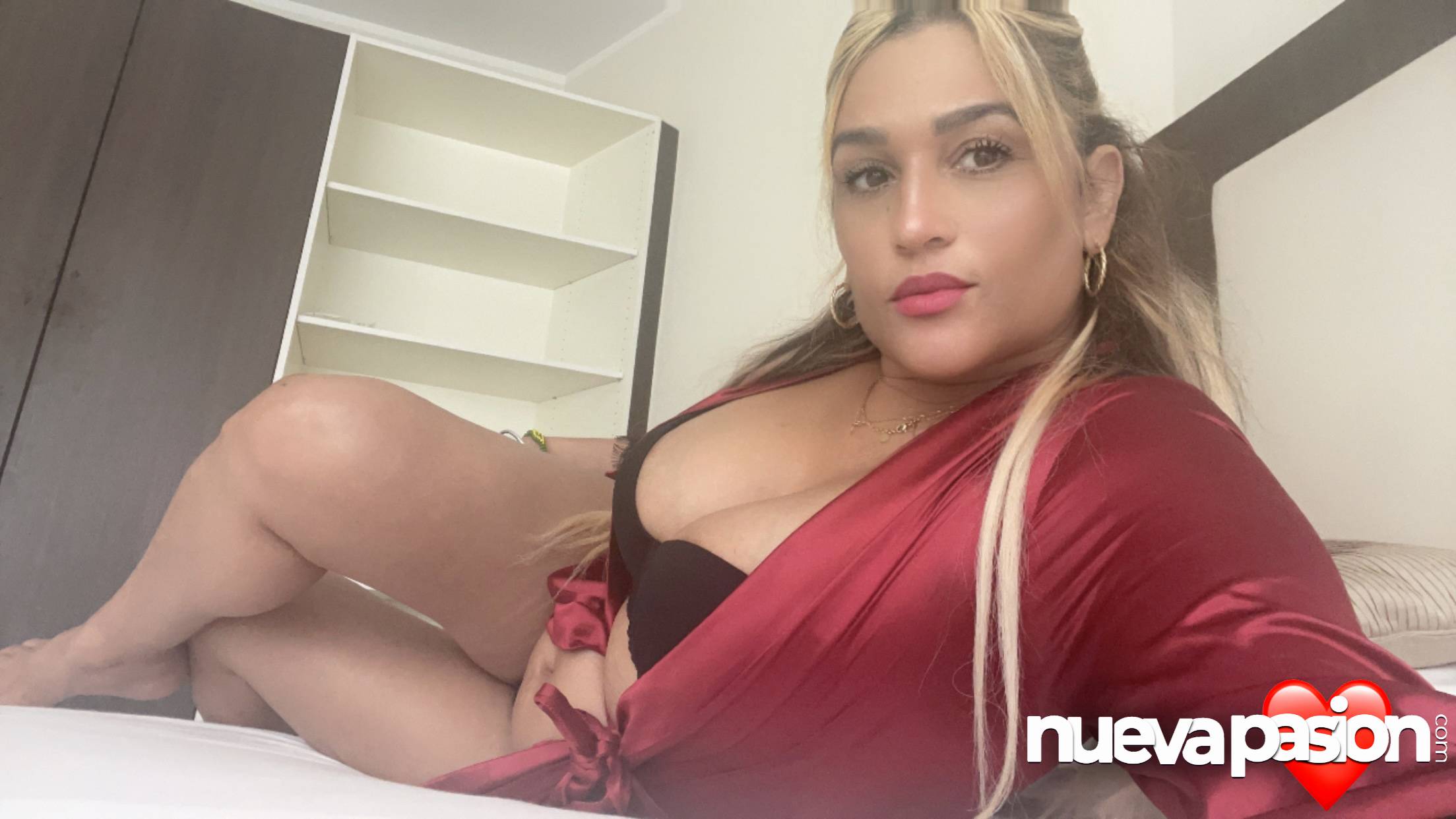 Novedad  en Aranda del Duero Castrillo de la Vega, fuentespina, Campillo, Gumiel de hizan, villanueva de Gumiel, quemada.