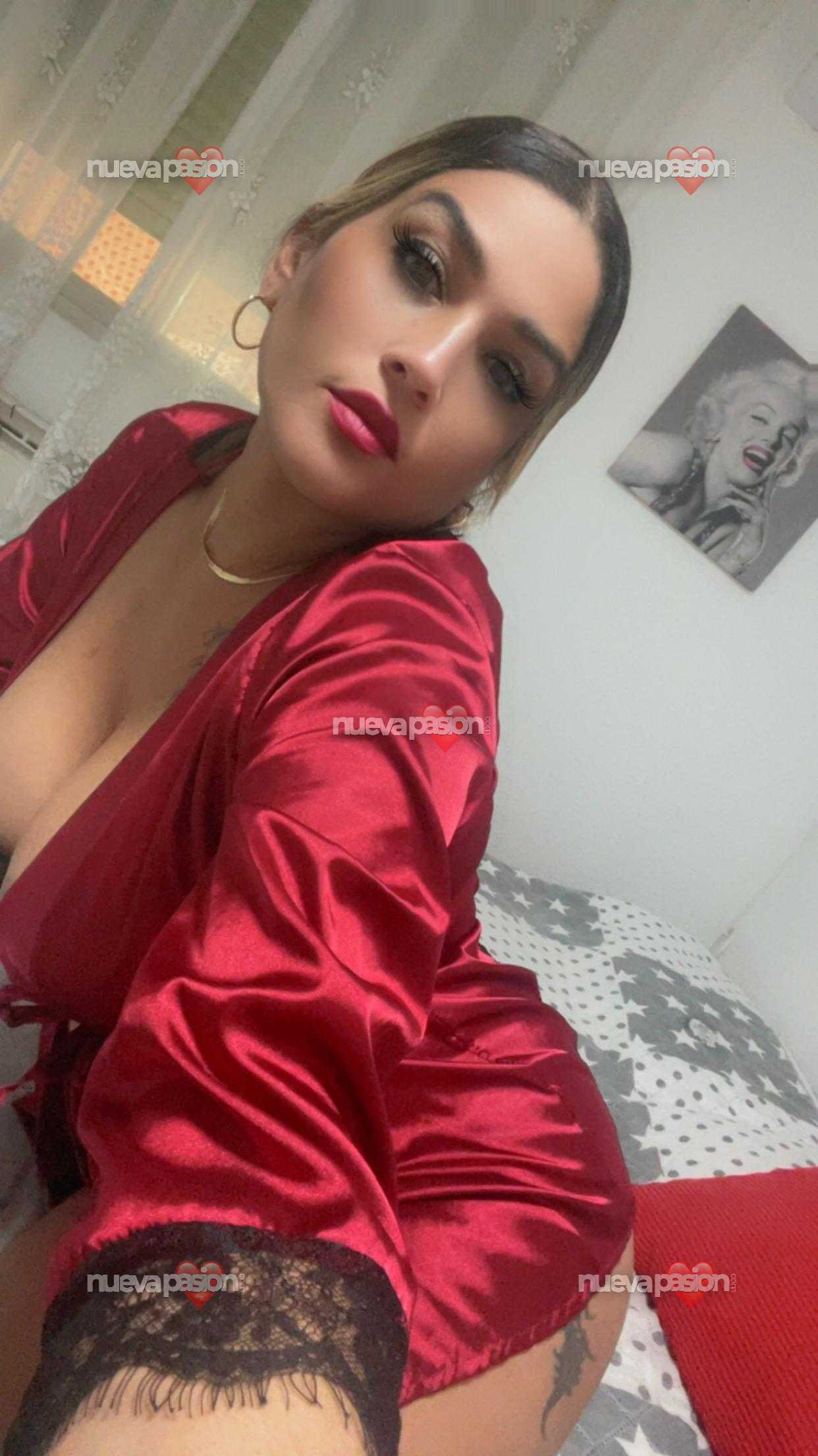 Novedad  en Aranda del Duero Castrillo de la Vega, fuentespina, Campillo, Gumiel de hizan, villanueva de Gumiel, quemada.