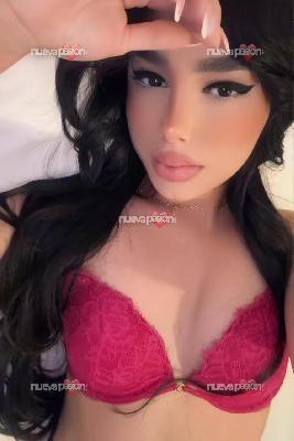 ESTOY CALIENTE QUITAME MIS BRAGUITAS CON LA BOCA EN CALLE EL TEMPLE