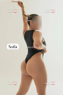 fotografias de nuestras putas y escorts