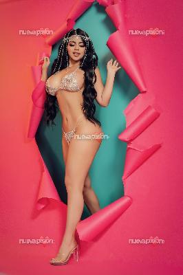 fotografias de nuestras putas y escorts