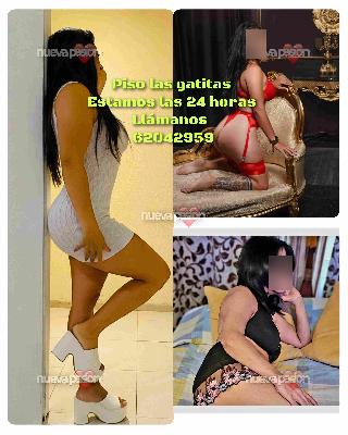 fotografias de nuestras putas y escorts