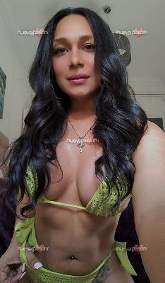 Nicol Trans latina Extraordinaria