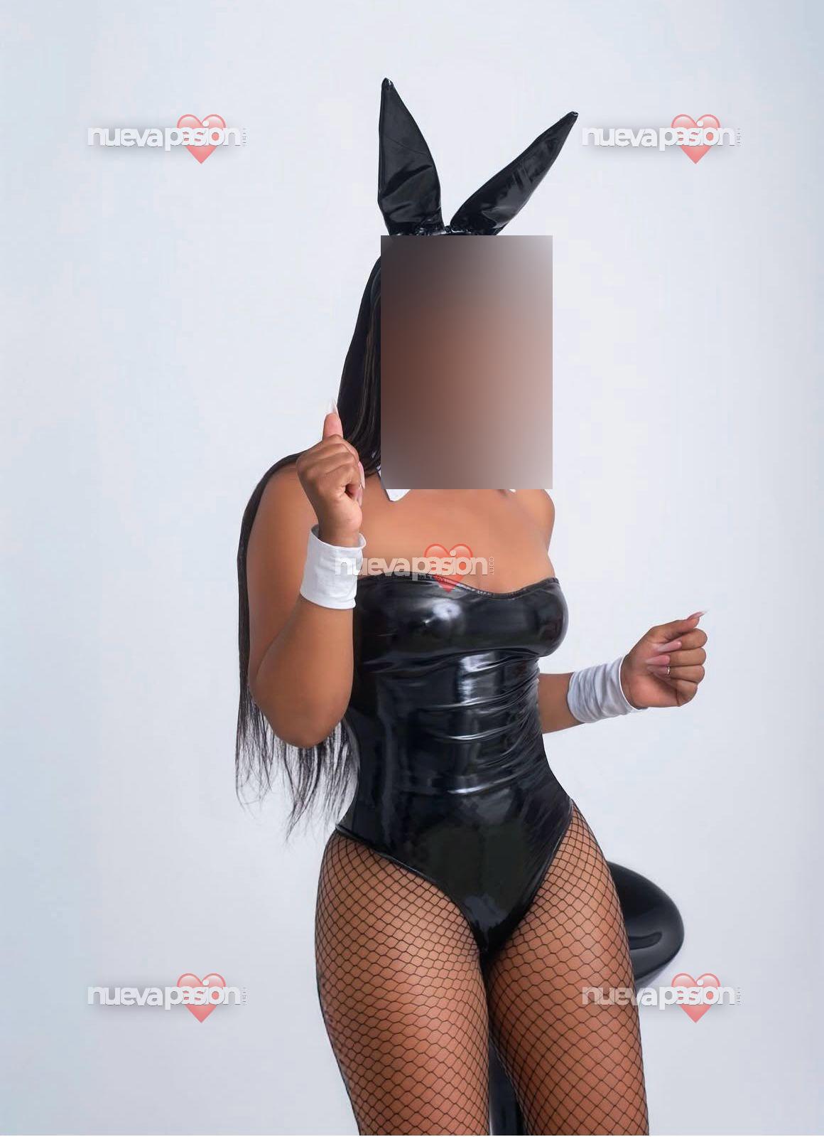 Alondra cubana latina Scott