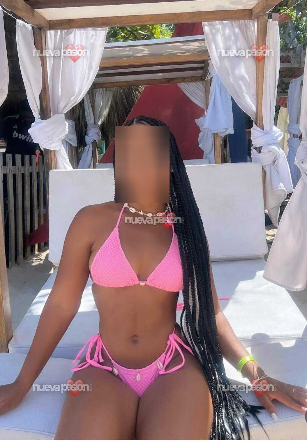 Alondra cubana latina Scott