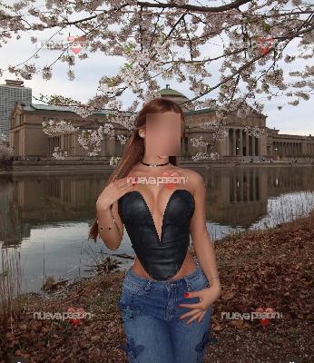 Verónica preciosa venezolana