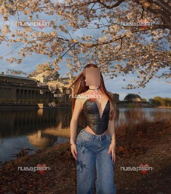 Verónica preciosa venezolana