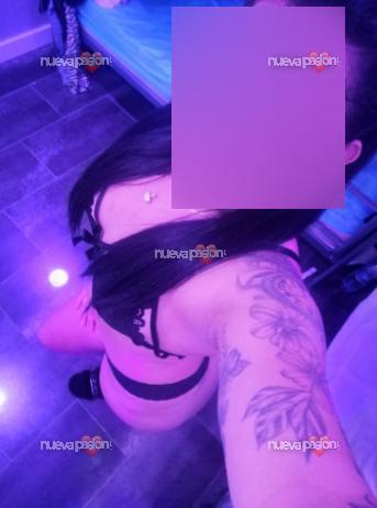 CRISTAL NOVEDAD EN LA CIUDAD IMPLICADA, FIESTERA