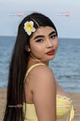 fotografias de escort para hombre en alicante