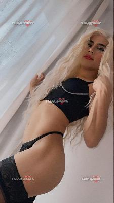 TRANS DISPONIBLE EN ZARAGOZA CENTRO