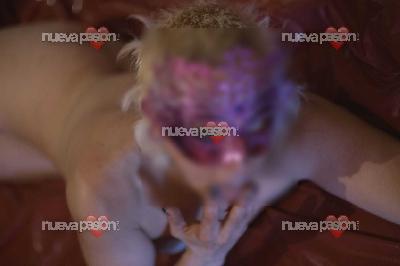 Solo llama para Salidas