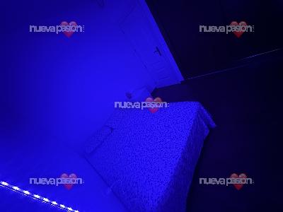 Habitación chica tranquila