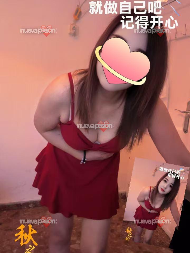 Nuevas chicas escorts hermosas sexys muy calientes y salidas 24h . Telf 658041419
