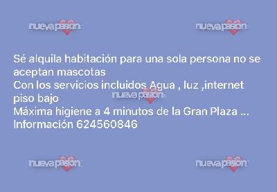 fotografias de nuestras putas y escorts
