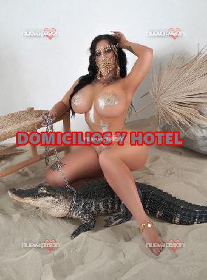 fotografias de nuestras putas y escorts