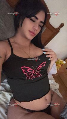 Trans Britanny Vegas