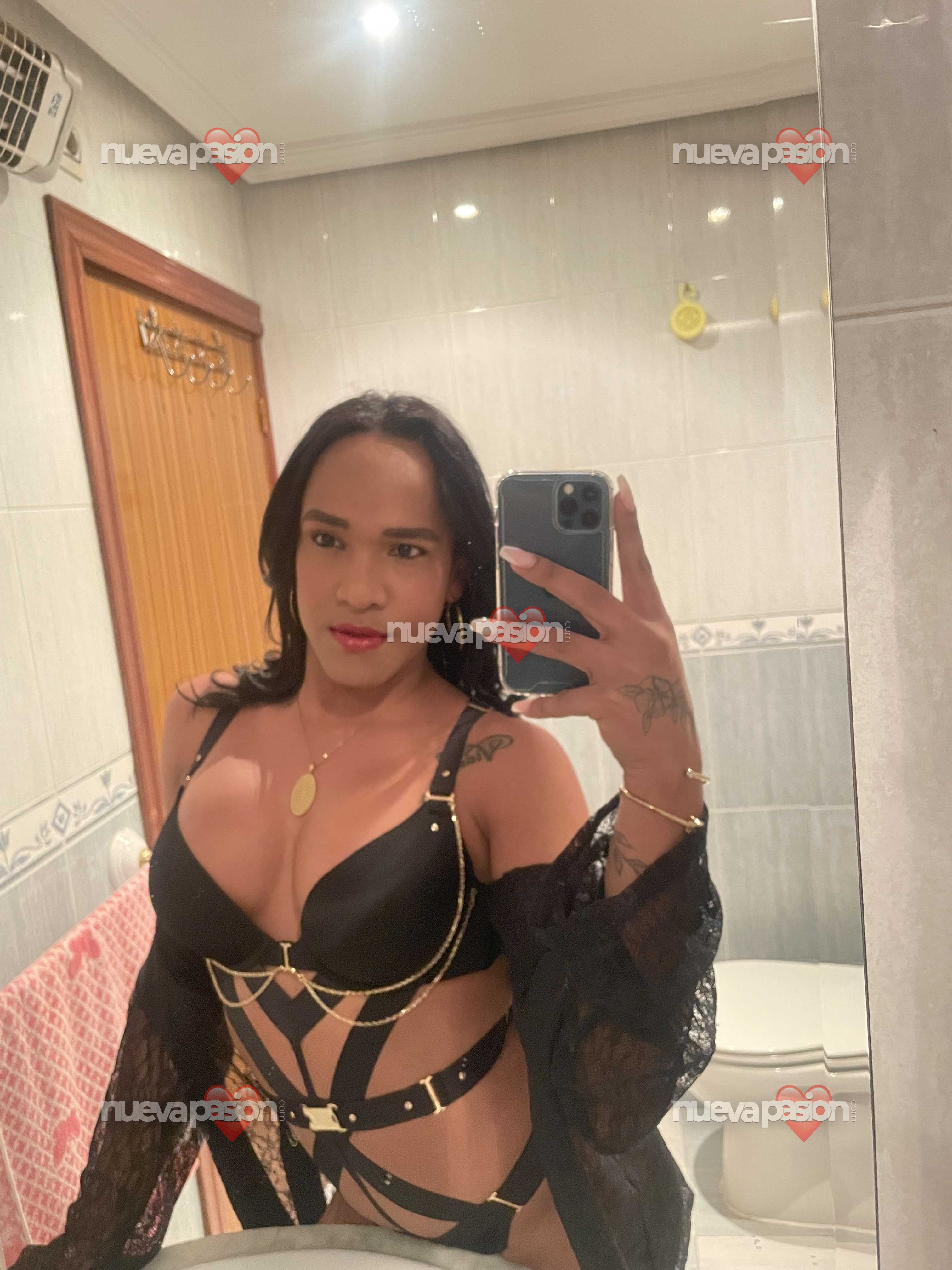 Morena latina