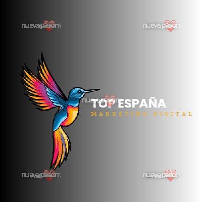 fotografias de habitaciones / plazas / hotel/ marketing en españa