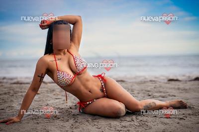 ❄️ Fiesta ❄️ 🔵 LOW COST