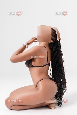 Naomys morena tropical