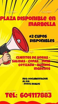 CHALET DE LUJO EN MARBELLA