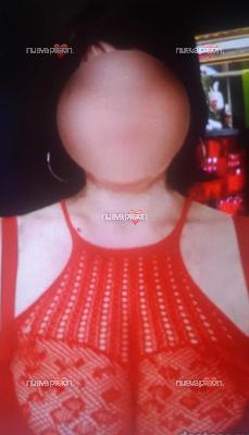 Roser catalana madurita