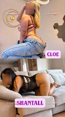 Chicas fiesteras, delicadas y sensuales