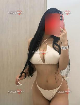 Yeni novedades latina