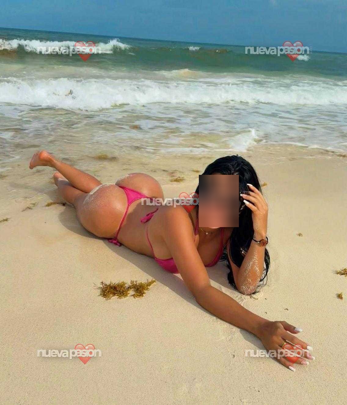 Sofia colombiana