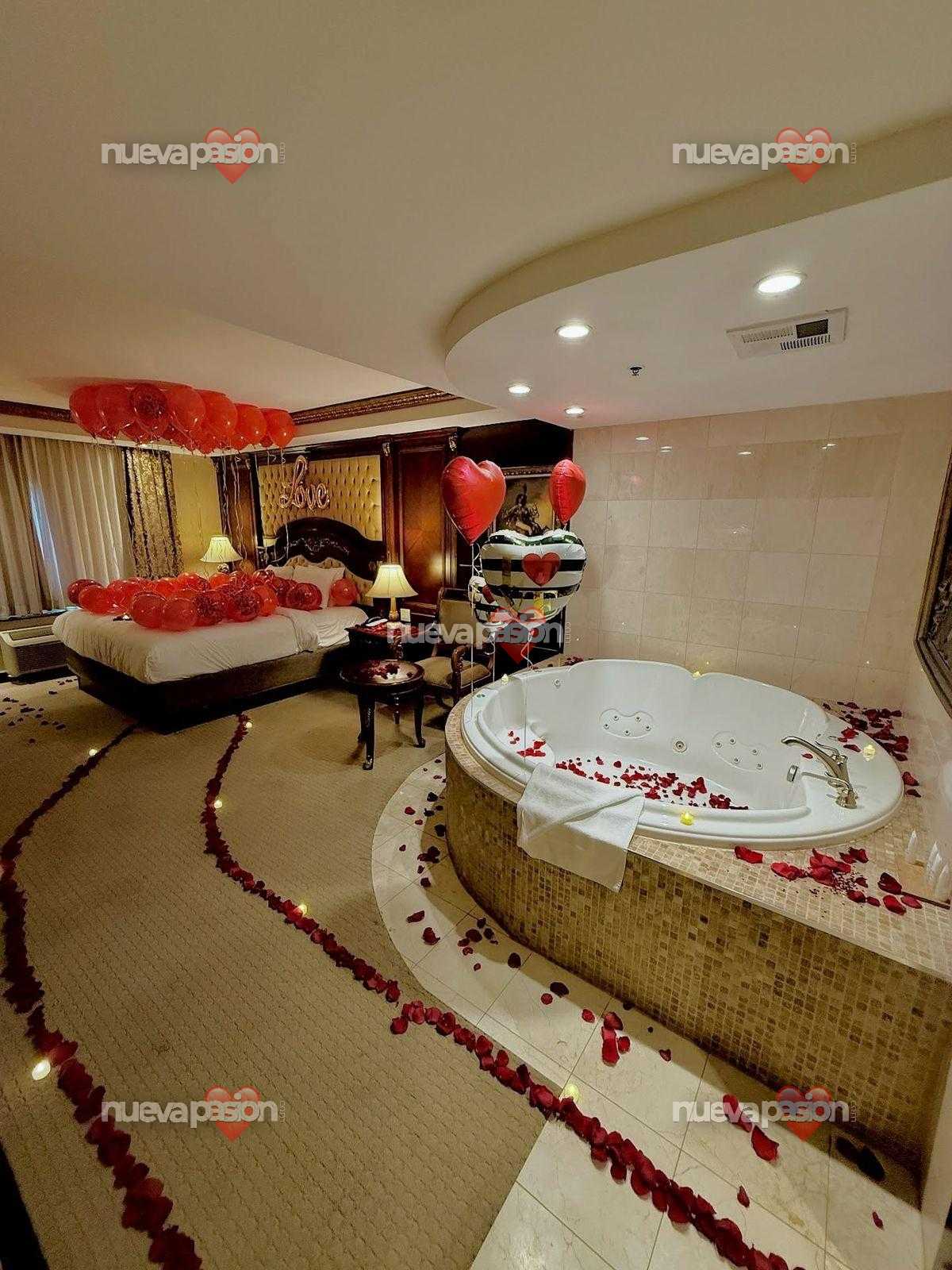 Sueña despierto con Vega.