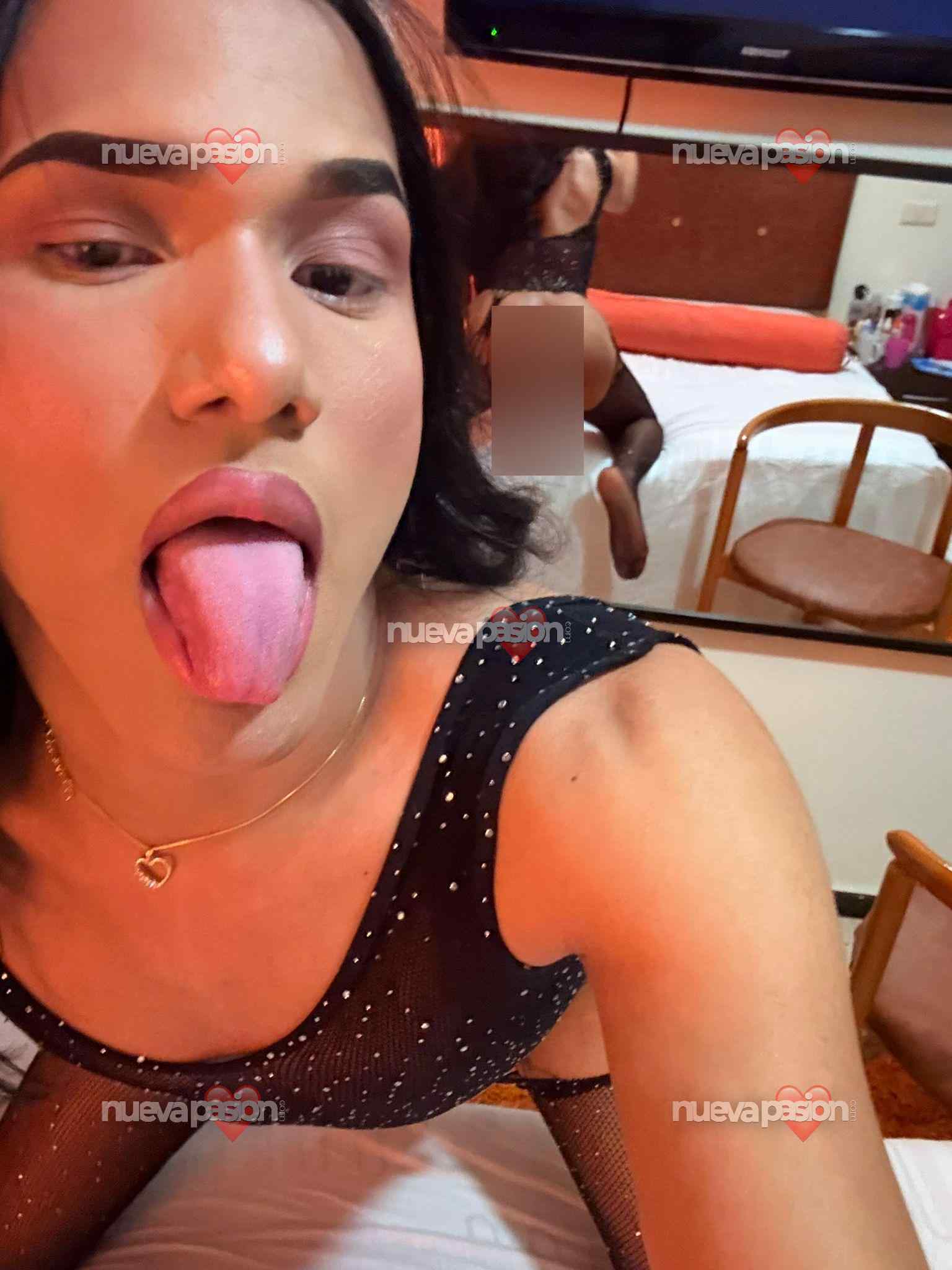 Cattaleya novedad recién llegada a la isla