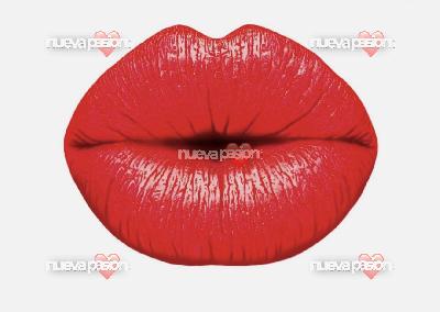 PLAZA EN GRAN CANARIA ALTOS INGRESOS