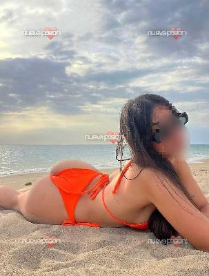 Lo más top en la palma novedad los cancajos