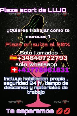 plaza chicas y trans en Suiza