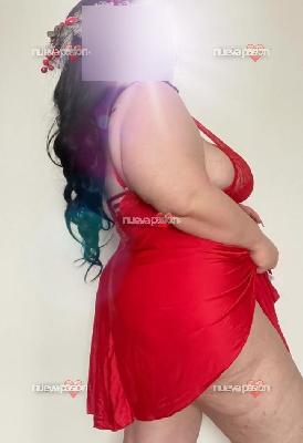 CATALANA NOVEDAD Y ÚNICA SEMANA