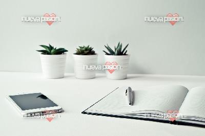 Telefonista y publicista seria con amplia experiencia