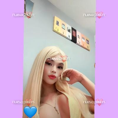 fotografias de travestis y transexuales en españa