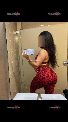 TRATO DE NOVIOS FRANCES NATURAL HASTA EL FINAL