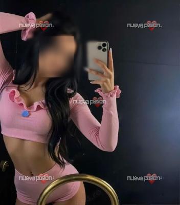 novedad tu mejor compañía