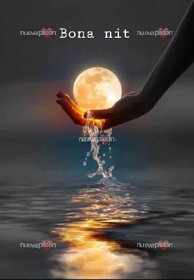 Busco compañera ,para compañía amigos discreto