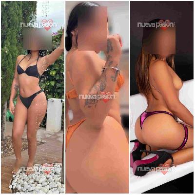 fotografias de nuestras putas y escorts
