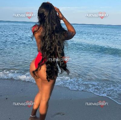 Novedad Saray universitaria colombiana en bormujos